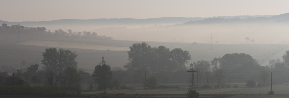 Foggy Landscape