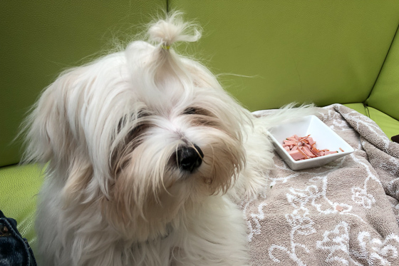 Nimue out dining
