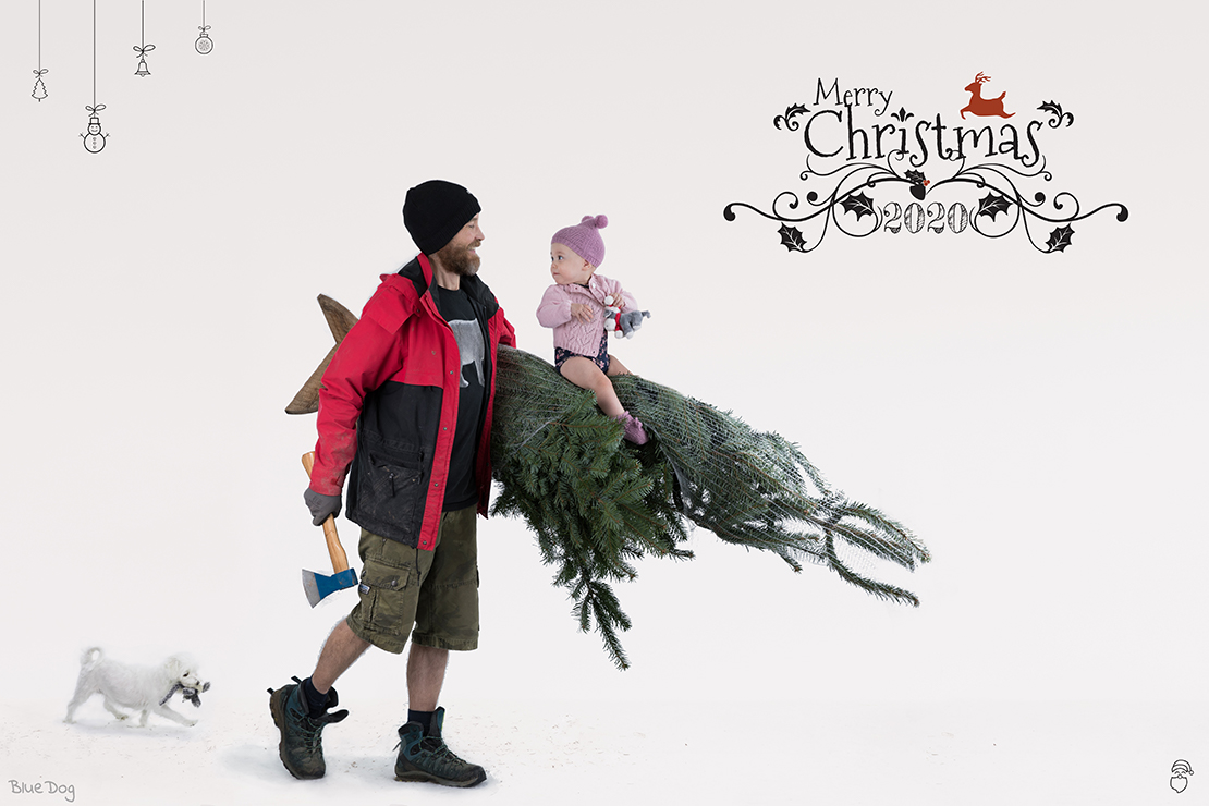 Getting the Tree