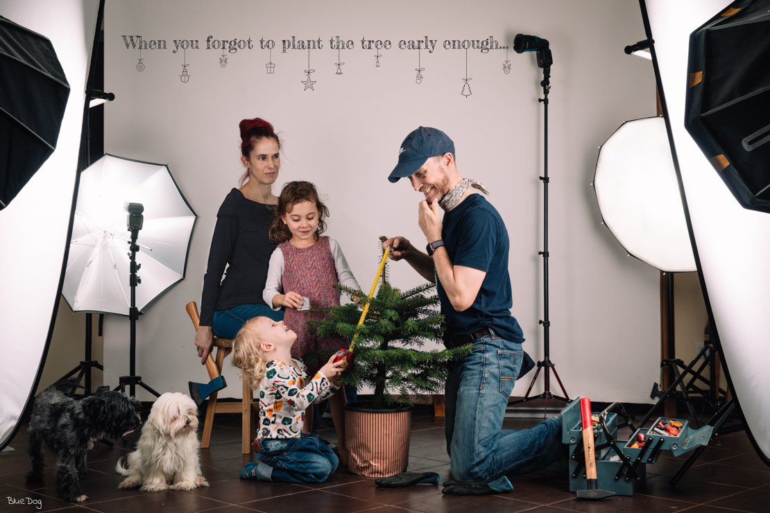 Measuing the small tree