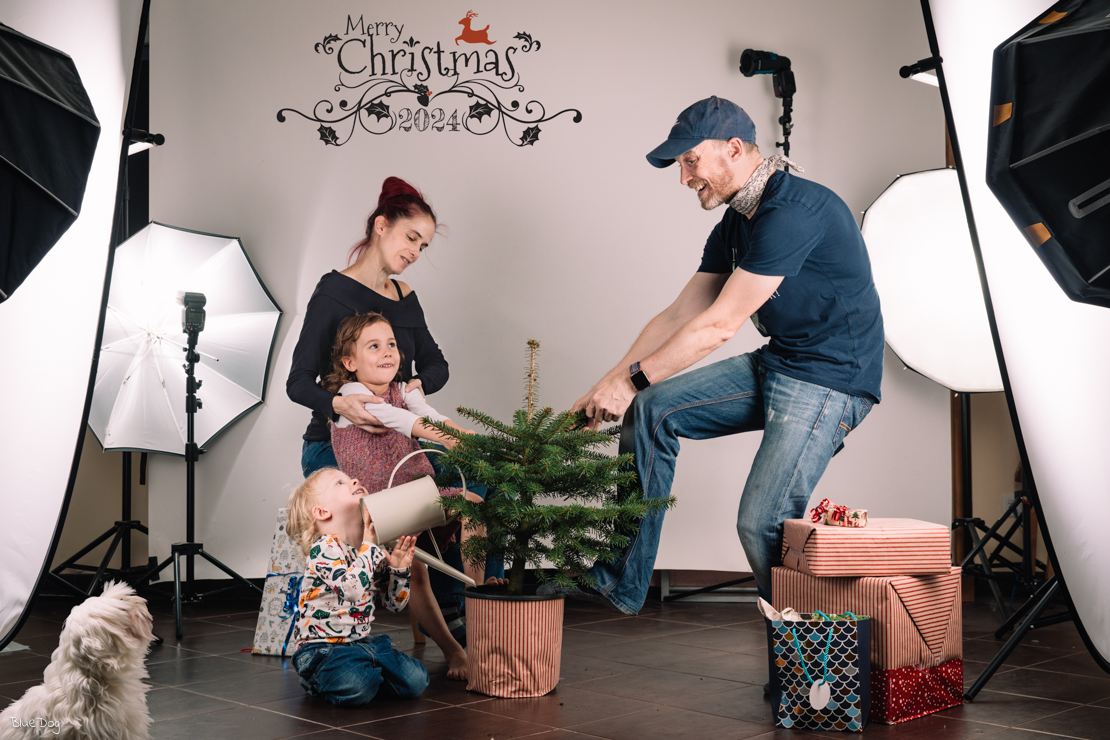 Pulling the tree taller