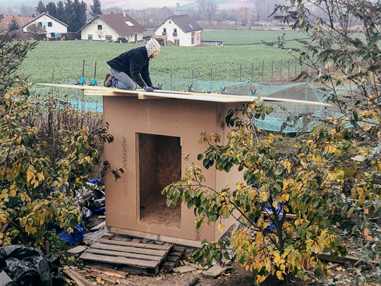 Building the roof