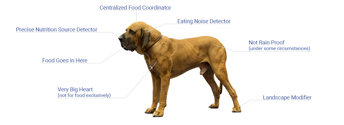 Fila Brasileiro Dog Blueprint (just for fun)